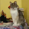 Отзыв от Надежда Савельева